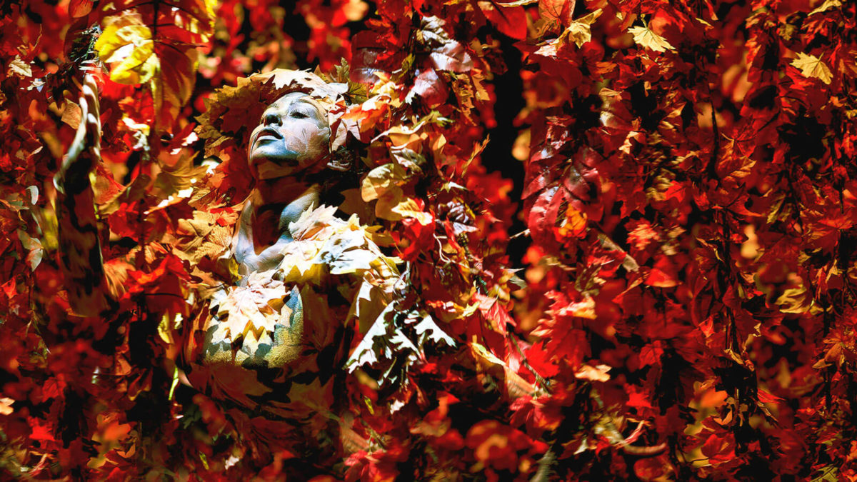 iba_welcome_party_AIMGROUP