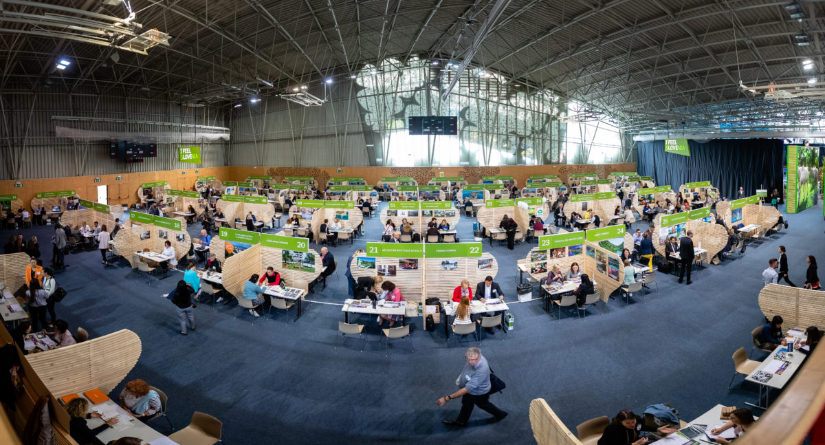 slovenian_incoming_workshop