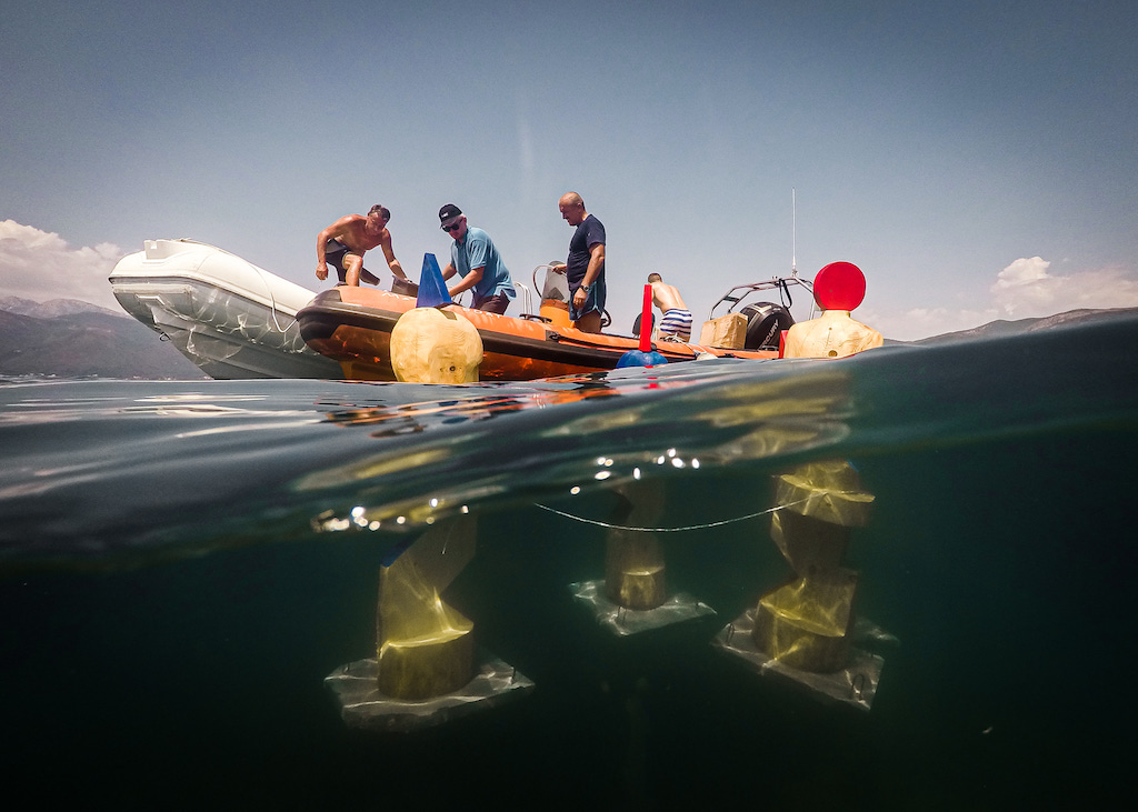 underwater-art-porto-montenegro