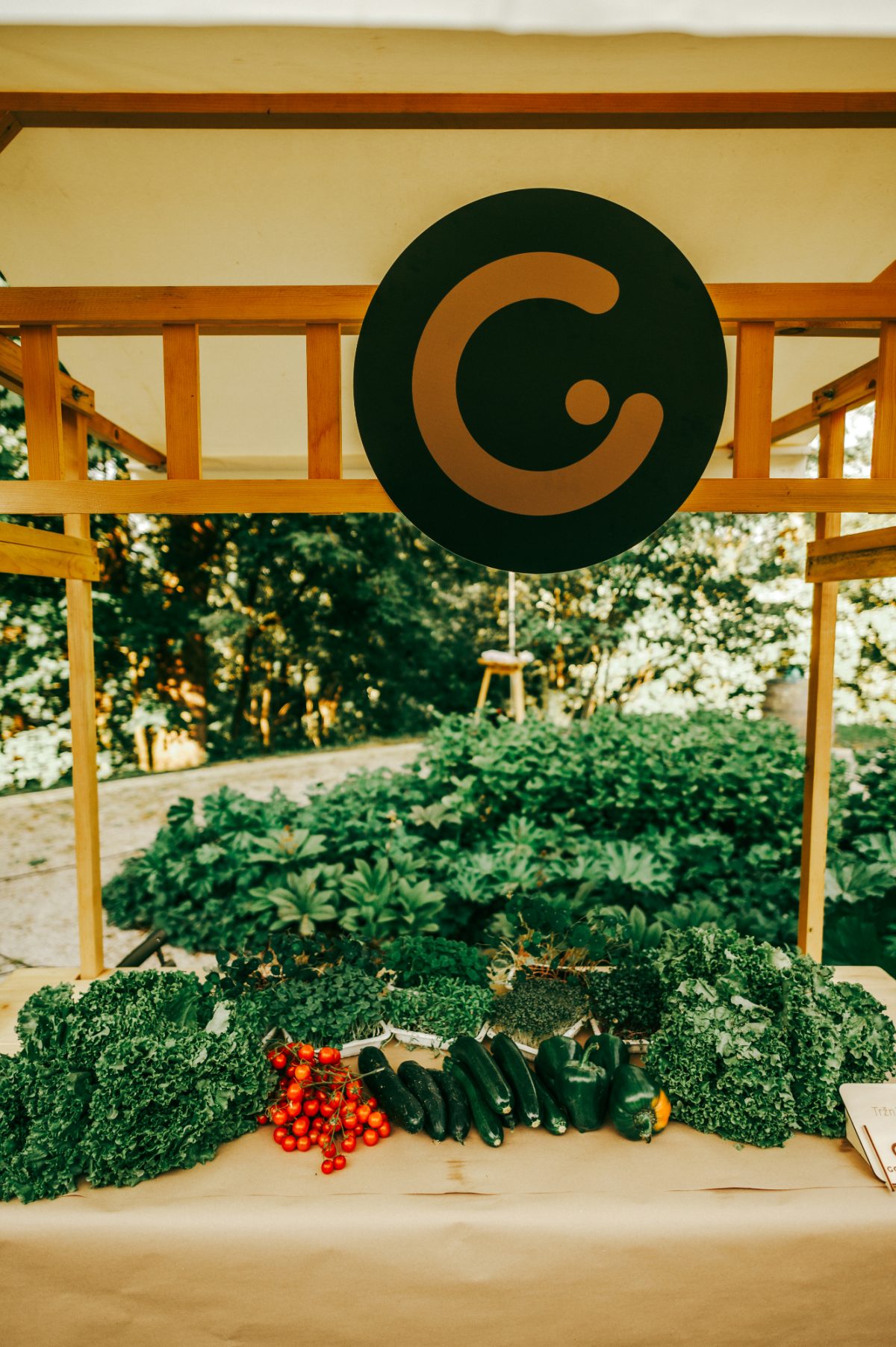 go-green-event-svicarija-best-event-award